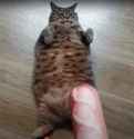 1622345481248_thumb.jpg
