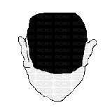 2456286_449a0