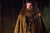 221014-robbie-coltrane-hagrid-harry-potter-mjf-1317-094a19