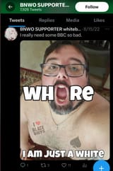 Cumskin BBC Faggot