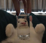 1601491121517