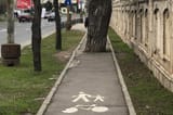 bike-path-1-e1553081620839