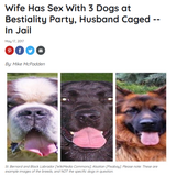 Cumskin Dogpill 2