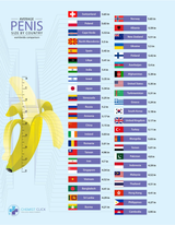 Penis Size by Country