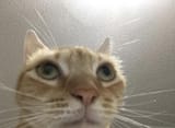1713560982220783