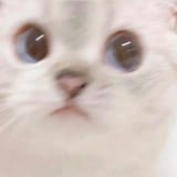 1667182384669005