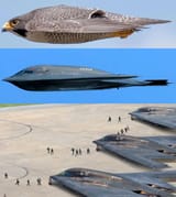 The Northrop Grumman B-2 Spirit stealth bomber is built with a flying wing design that mirrors the smooth,...oit improves radar avoidance and enhances flight efficiency, making the B-2 perfectly suited for long-distance operations.