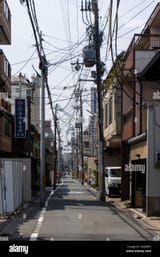 3844361118