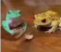ssstwitter.com_1750581335368 (1)_thumb.jpg