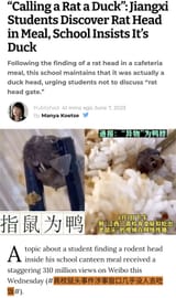 Chinese shills are faggots (10)