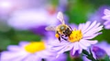 istockphoto-491230304-612x612