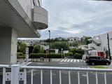 IMG_0262 jpg