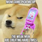1733610799029730