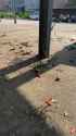 132123 (127)_thumb.jpg