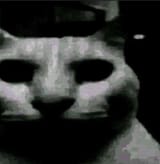 1728958846283939