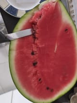 IMG_20250622_133246