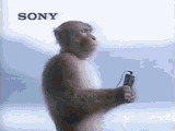 Sony Walkman Monkey