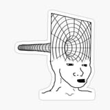 46456456