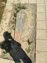 IMG_20250622_150708