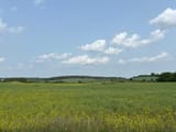 IMG_1978