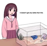 betta