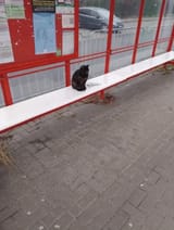 1747457069096930