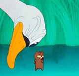 spurdo observation
