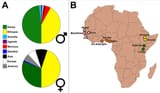 Place-of-birth-of-the-100-best-marathon-runners-of-all-time-men-and-women-as-listed