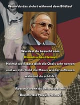 helmut