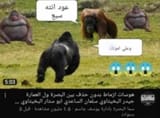 d6fce21a43cf44367b434600ecd0c9bd