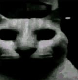 1723091078701655