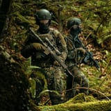 flecktarn2