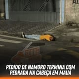 25454770