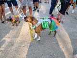 IMG_20250519_181339119_HDR