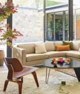 Eames_MoldedPlywoodLCW-lifestyle1_dcb11f9a-ef79-4f7e-863a-b9c42fdee2a1
