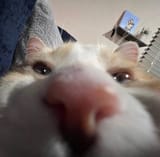 1747614615051550