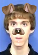 lanza perro
