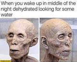 when-you-wake-up-in-the-middle-of-the-night-dehydrated-looking-for-some-water-907006395