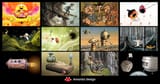 games-og-image-2521054863