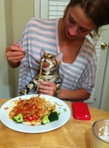 Cat eating ramen