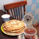 Cat about to eat tortillas