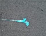 Death in Singapore