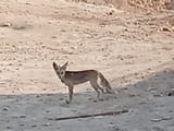 IMG_20250623_080039