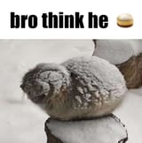1733394990357381