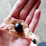 tempelbol