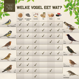welke-vogel-eet-wat