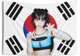 korean_flag