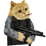 catcoin-cat-meme