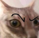 1666334630913888