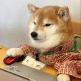 загружено